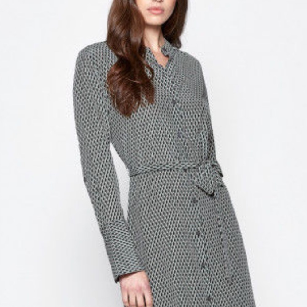 Equipment silk shirt dress